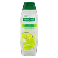 Shampoo Palmolive Naturals Detox Energizante 350ml