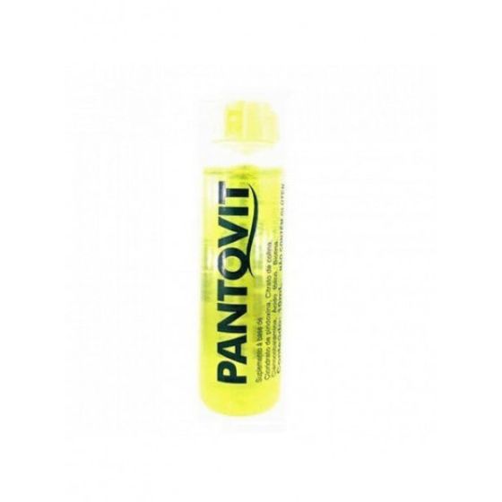 Pantovit Sabor Abacaxi - Flaconete com 10mL - Imagem 1