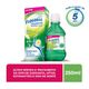 Flogoral 1.5MG/ML Solução Oral (Spray) Sabor Menta - Frasco com 250mL - Preview 2