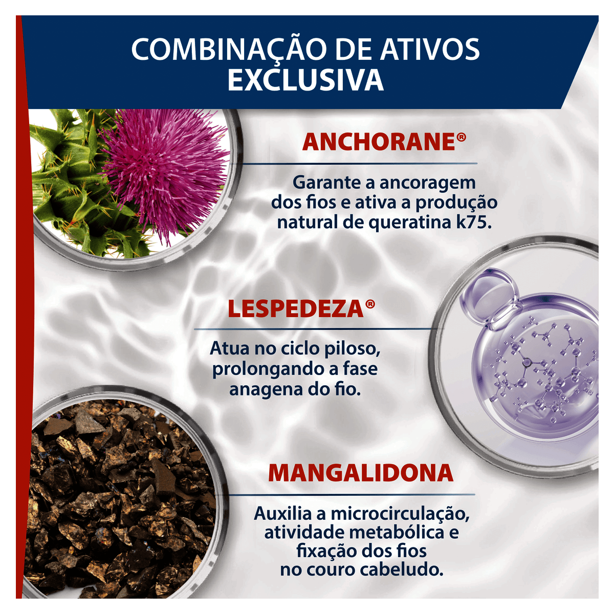 Sérum Antiqueda Ducray Neoptide 50mL - Preview 5